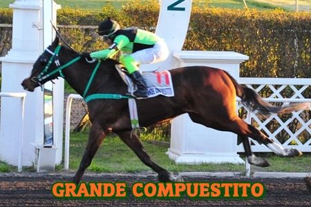 ejemplar GRANDE COMPUESTITO