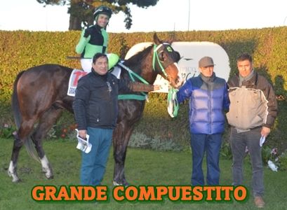 ejemplar GRANDE COMPUESTITO