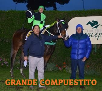 ejemplar GRANDE COMPUESTITO