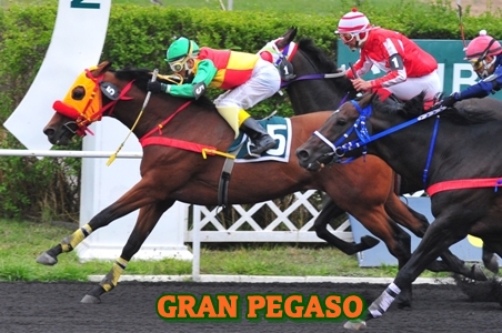 ejemplar GRAN PEGASO