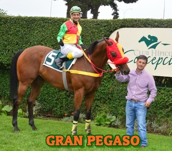 ejemplar GRAN PEGASO