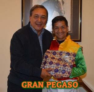 ejemplar GRAN PEGASO