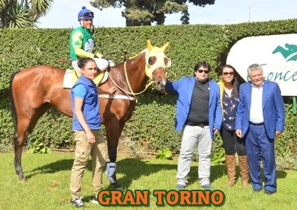 ejemplar GRAN TORINO