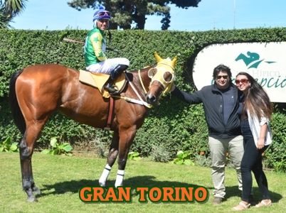 ejemplar GRAN TORINO