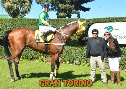 ejemplar GRAN TORINO