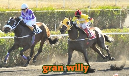 Gran Willy