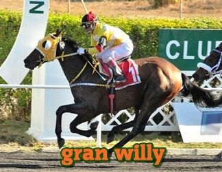 Gran Willy