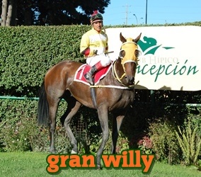 Gran Willy