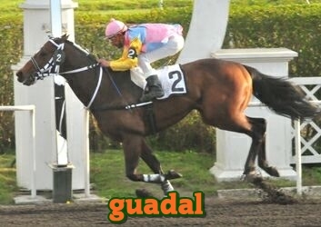 guadal