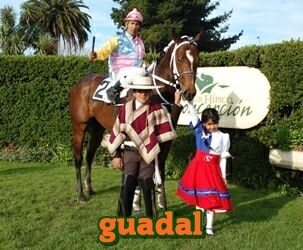 guadal