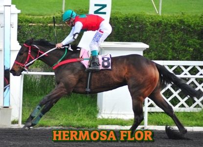 ejemplar HERMOSA FLOR