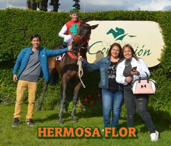 ejemplar HERMOSA FLOR