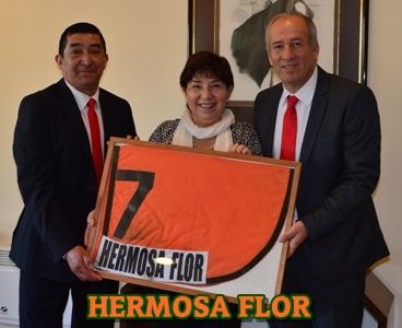 ejemplar HERMOSA FLOR