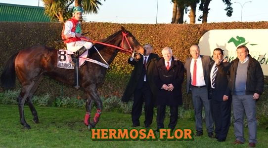 ejemplar HERMOSA FLOR