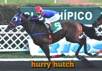 ejemplar caballo hurry hutch