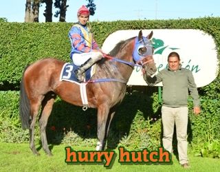 ejemplar caballo hurry hutch