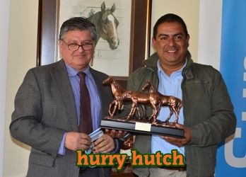 ejemplar caballo hurry hutch