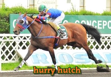 ejemplar caballo hurry hutch