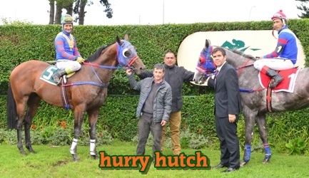 ejemplar caballo hurry hutch