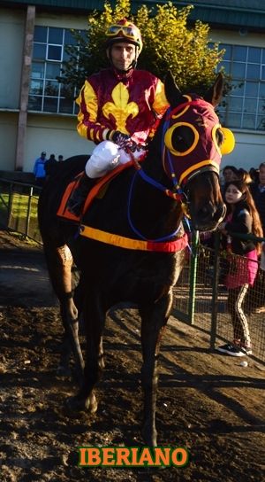 ejemplar IBERIANO