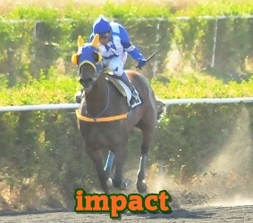 impact