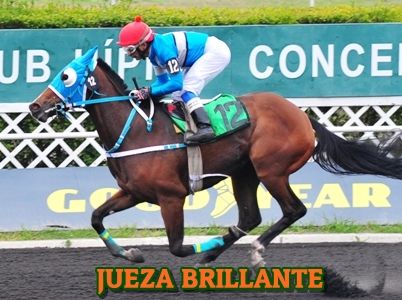 ejemplar JUEZA BRILLANTE