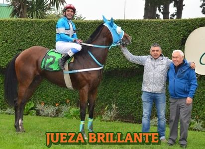 ejemplar JUEZA BRILLANTE