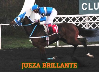 ejemplar JUEZA BRILLANTE