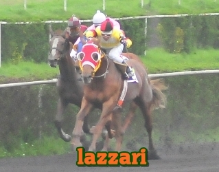 lazzari