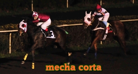 mecha corta