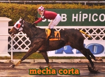 mecha corta