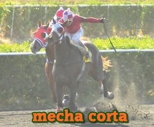 mecha corta