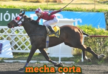 mecha corta