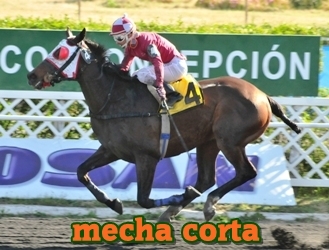 mecha corta