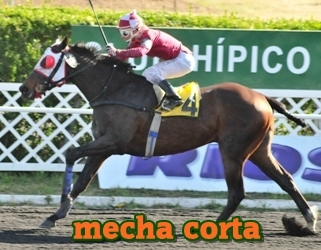 mecha corta