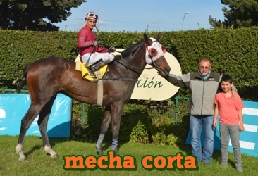 mecha corta