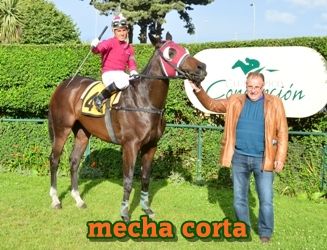 mecha corta