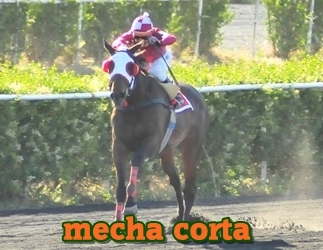 mecha corta