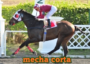 mecha corta