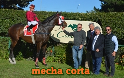 mecha corta