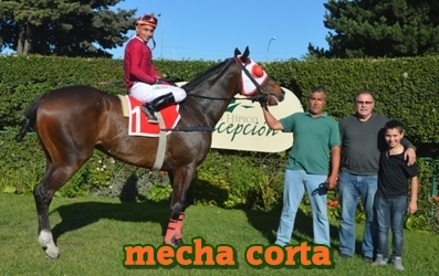 mecha corta