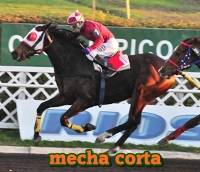 mecha corta