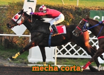 mecha corta