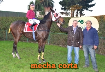 mecha corta