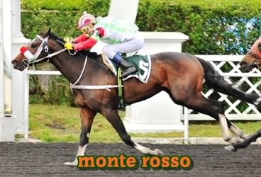 monte rosso