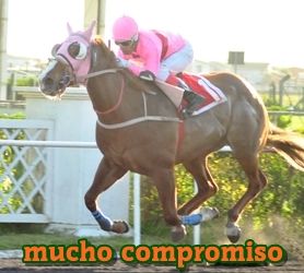 mucho compromiso