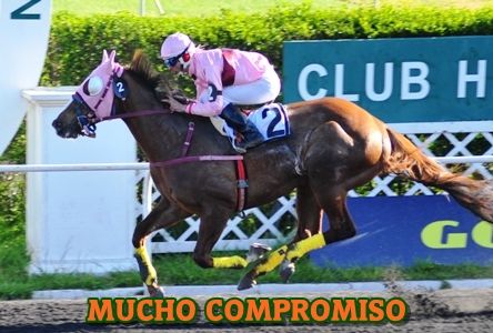 ejemplar MUCHO COMPROMISO