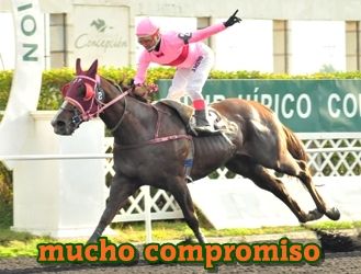 mucho compromiso