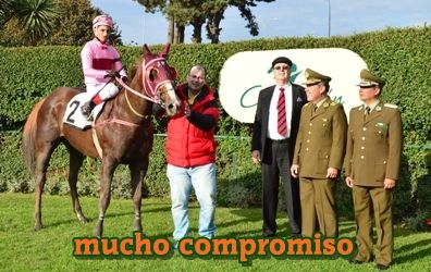 mucho compromiso