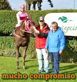 mucho compromiso